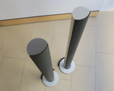 BeoLab 6000 <br>Aktivlautsprecher <br>silber (1999)