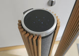 Beolab 28 <br>Aktivlautsprecher<br>silber (2021)
