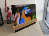 BeoVision Eclipse 65 <br>4K HDR OLED-Smart-TV<br>silber (2020)