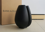 BeoLab 11 <br>Aktiver Subwoofer <br>schwarz (2012)