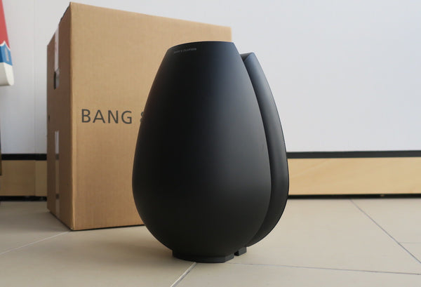 BeoLab 11 <br>Aktiver Subwoofer <br>schwarz (2012)