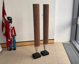 BeoLab 8000 <br>Aktivlautsprecher <br>silber/eiche (1996)