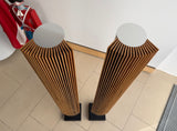 BeoLab 8000 <br>Aktivlautsprecher <br>silber/eiche (1996)