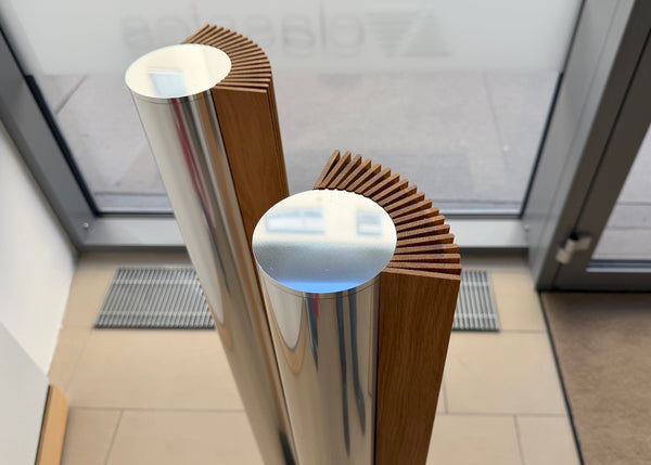 BeoLab 8000 <br>Aktivlautsprecher <br>silber/eiche (1996)
