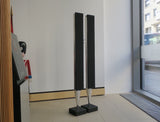 BeoLab 8002 <br>Aktivlautsprecher <br>silber/schwarz (2012)