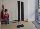 BeoLab 8002 <br>Aktivlautsprecher <br>silber/schwarz (2012)