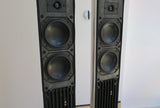 BeoLab 8000 MK2 <br>Aktivlautsprecher <br>silber/schwarz (2007)
