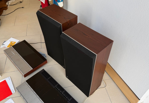 BeoSystem 6000 <br>vintage Audio System<br>palisander (1976)
