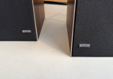BeoSystem 6000 <br>vintage Audio System<br>palisander (1976)