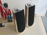BeoLab 50<br>Aktivlautsprecher <br>silber/schwarz (2017)