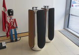 BeoLab 50<br>Aktivlautsprecher <br>silber/schwarz (2017)