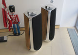 BeoLab 50<br>Aktivlautsprecher <br>silber/schwarz (2017)