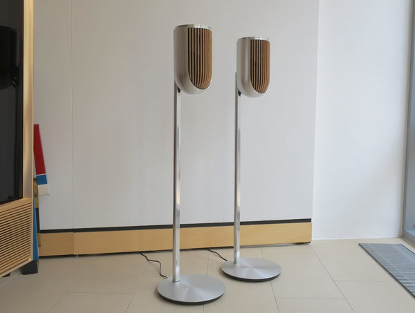 Beolab 8 <br>Aktivlautsprecher<br>silber/oak (2024)