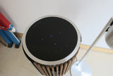 Beolab 8 <br>Aktivlautsprecher<br>silber/oak (2024)