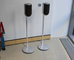 Beolab 8 <br>Aktivlautsprecher<br>natural / dark oak (2024)