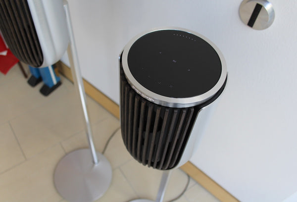 Beolab 8 <br>Aktivlautsprecher<br>natural / dark oak (2024)