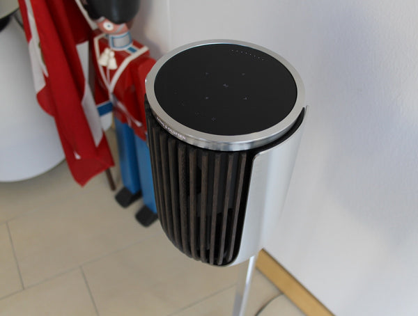 Beolab 8 <br>Aktivlautsprecher<br>natural / dark oak (2024)