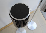 Beolab 8 <br>Aktivlautsprecher<br>natural / dark oak (2024)