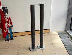 BeoLab 6000 <br>Aktivlautsprecher <br>silber (1999)