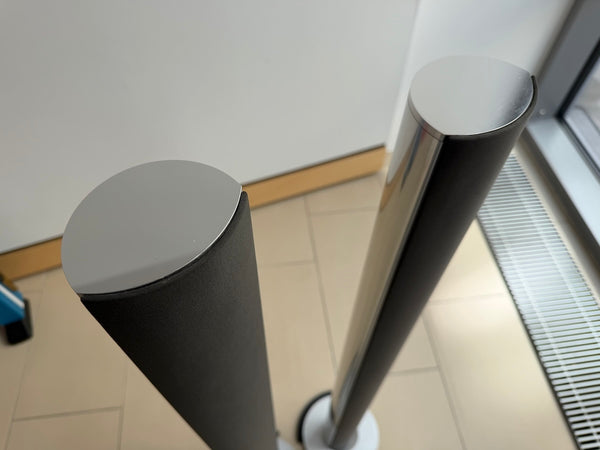BeoLab 6000 <br>Aktivlautsprecher <br>silber (1999)