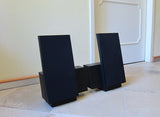BeoLab 2500 Aktivlautsprecher schwarz (<2000)