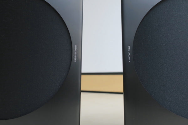 BeoLab 17 MK2<br>Aktivlautsprecher <br>schwarz / schwarz (2017)