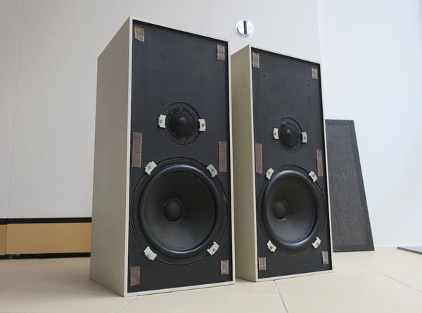 BeoVox 3000 MK2<br>passive Lautsprecher <br> weiß (1970)