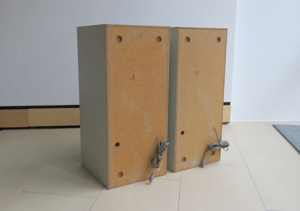 BeoVox 3000 MK2<br>passive Lautsprecher <br> weiß (1970)