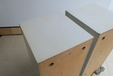 BeoVox 3000 MK2<br>passive Lautsprecher <br> weiß (1970)