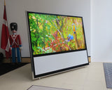 BeoVision 11-55 <br>Full-HD LED-Smart-TV <br>DVB-HD T2/C (2013)
