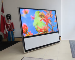 BeoVision 11-55 <br>Full-HD LED-Smart-TV <br>DVB-HD T2/C (2013)