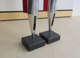 BeoLab 8000 <br>Aktivlautsprecher <br>silber/rot (1996)