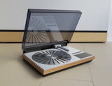 BeoGram 4004 <br>Plattenspieler (ca. 1979)