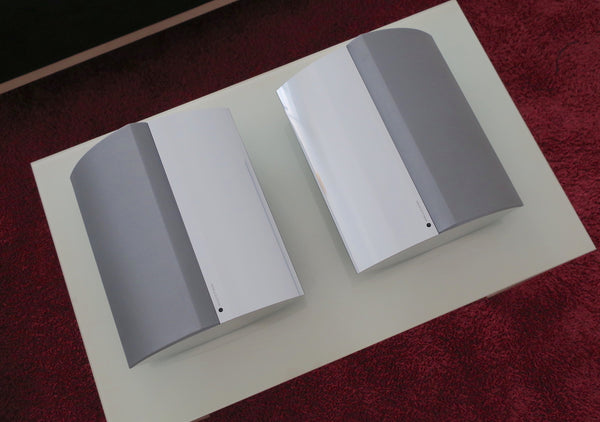 BeoLab 4000 Aktivlautsprecher silber/silber (2005)
