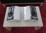 BeoLab 4000 Aktivlautsprecher silber/silber (2005)
