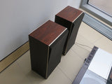 BeoCenter 7002 <br>mit BeoVox S 4500<br>palisander (1982)